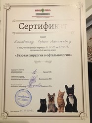 Фото компании ООО Кабинет ветеринарной медицины 21
