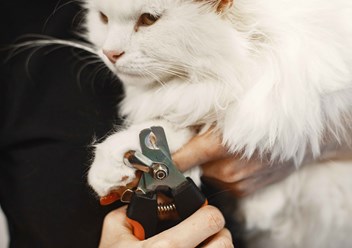 Фото компании  «РасВет» 1