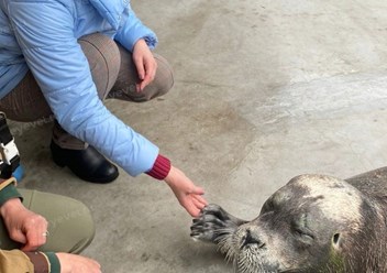 Фото компании  Центр ветеринарной офтальмологии доктора Шилкина А.Г. на ул. Островитянова 6