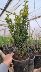 Фото компании  Исида Парк 3