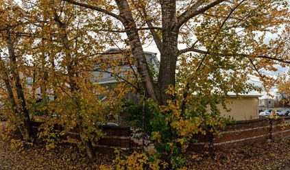 Фото компании ООО Немецкий мастер 2