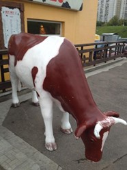 Фото компании  Му-Му, сеть кафе быстрого питания 13