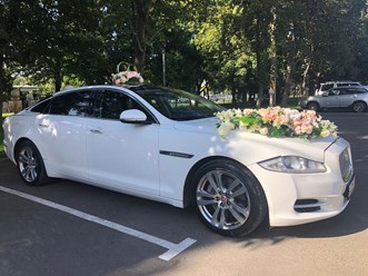 Фото компании  "Ягуар" 7