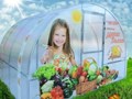Теплица