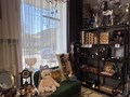 Фото компании  Карс 5