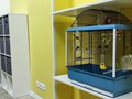 Места для размещения клеток с грызунами и птицами
