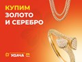 Фото компании  Удача 2