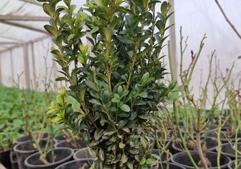 Фото компании  Исида Парк 3