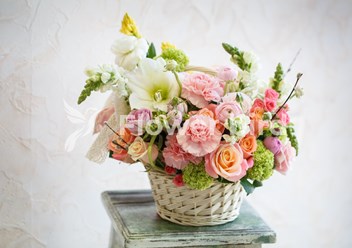 Фото компании  Flower Bird 5