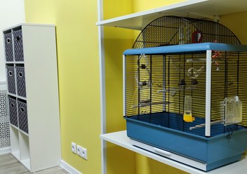 Места для размещения клеток с грызунами и птицами