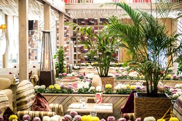 Фото компании  Коллекция food &amp; chillout, ресторан 24