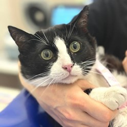 Фото компании  Веда 5