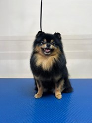 Фото компании  ZooMeister 6