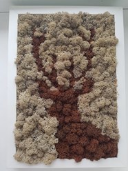 Картина из мха 3000р.