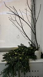 Фото компании  В цветах 59