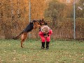 Фото компании  Ново-Переделкино 3