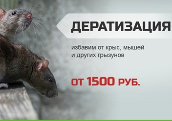 ООО Служба дезинфекции №1