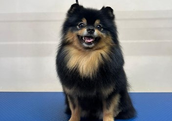 Фото компании  ZooMeister 6