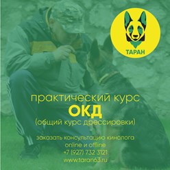 Фото компании  Кинологический центр "Таран" 5