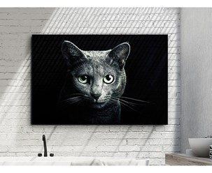 Фото компании  TELFER home 13