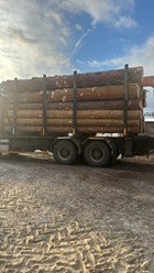 Фото компании ИП Лес да сруб  2