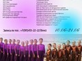Фото компании  Бархат 2