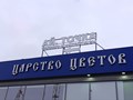 Фото компании ООО Адвертс Технолоджис 3