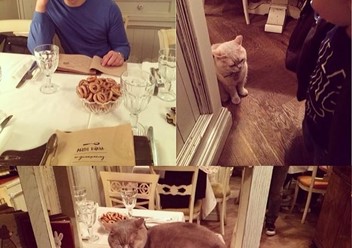 Фото компании  Мари Vanna, ресторан 4