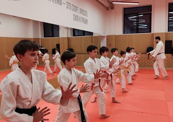 Фото компании  Клуб Айкидо Госэйрюкан 5