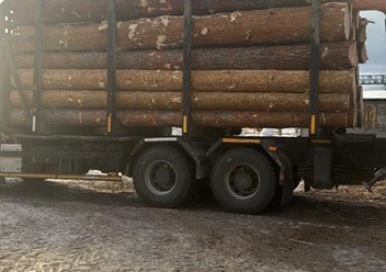 Фото компании ИП Лес да сруб  2