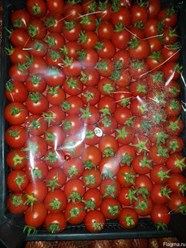 Томат Черри из Турции. 120 руб./кг