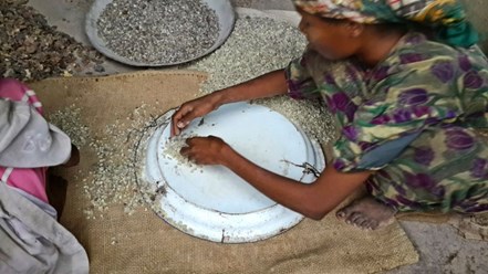 Фото компании  Олибанум.рф 4