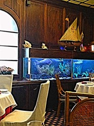 Фото компании  Sirena, ресторан 29
