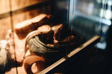 Фото компании ООО Bali Lounge 6