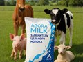 ЗЦМ «AGORAmilk» - это качественное и сбалансированное питание, близкое по своим показателям к цельному молоку.