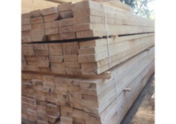 Фото компании ООО Woodbees 2