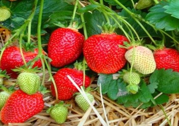 Фото компании ООО Заур и К 4