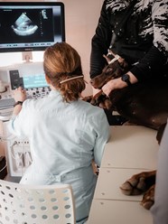 Фото компании ООО Веда 20