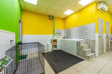 Фото компании  ВертиХвостка 6