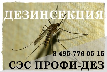#дезинфекция 
#уничтожениеклопов 
#дезинсекция 
#уничтожениеклопов 
#уничтожениенасекомых 
#дезинсекцияколомна 
#дезинфекцияколомна 
#уничтожениекомаровколомна 
#уничтожениеклоповколомнепрофидез