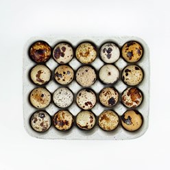 Фото компании ООО Шепиловская птицефабрика 14