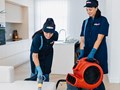 Фото компании ООО New Cleaning 2