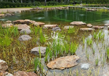 Фото компании  Люкспруд 2