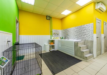 Фото компании  ВертиХвостка 6