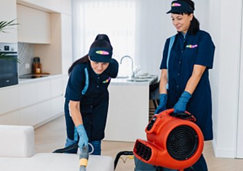 Фото компании ООО New Cleaning 2