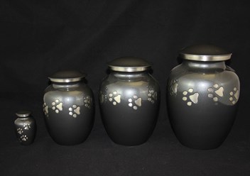 Фото компании  «РасВет» 3