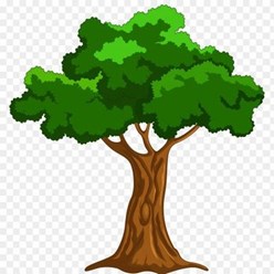 Фото компании  Деревья Калининграда 1