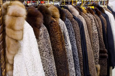 Фото компании  Меховая фабрика "Эдита" 13