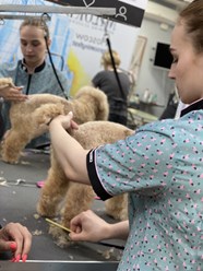 Фото компании  Международная академия груминга Милорд 4