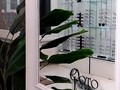 Купить контактные линзы дешево Оптика ВРН Воронеж